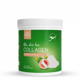 RawDietLine Collagen