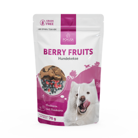 Hundekekse- Berry Fruits
