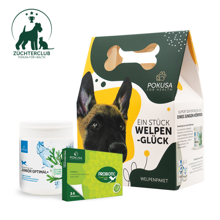 Welpenpaket Pokusa for health - Standard