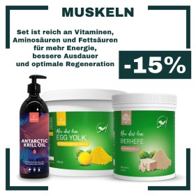 MUSKELN SET