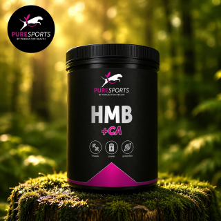 HMB Pulver für Hunde Muskelaufbau – Regeneration | Pokusa