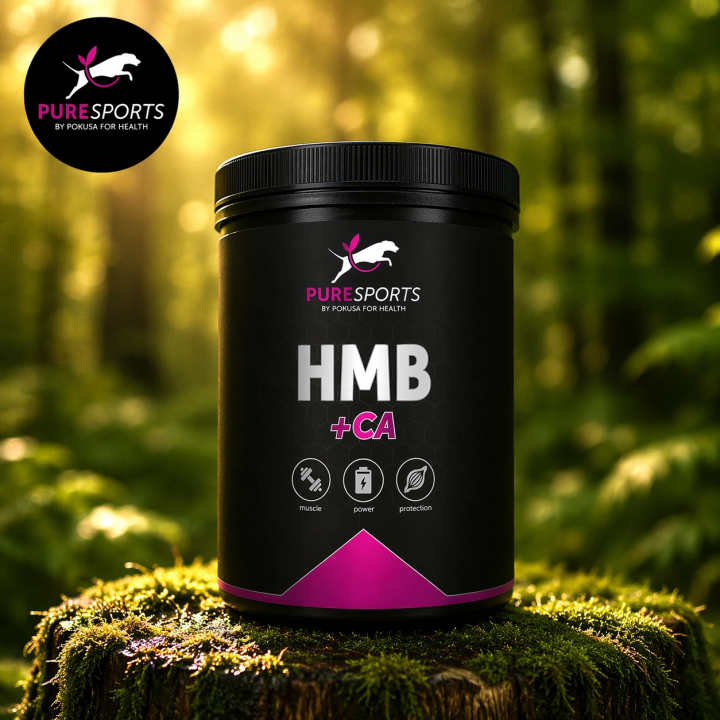 HMB Pulver für Hunde Muskelaufbau – Regeneration | Pokusa