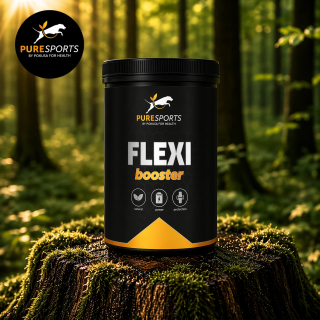 Pokusa Flexi Booster Gelenke & Beweglichkeit Hund | Pokusa