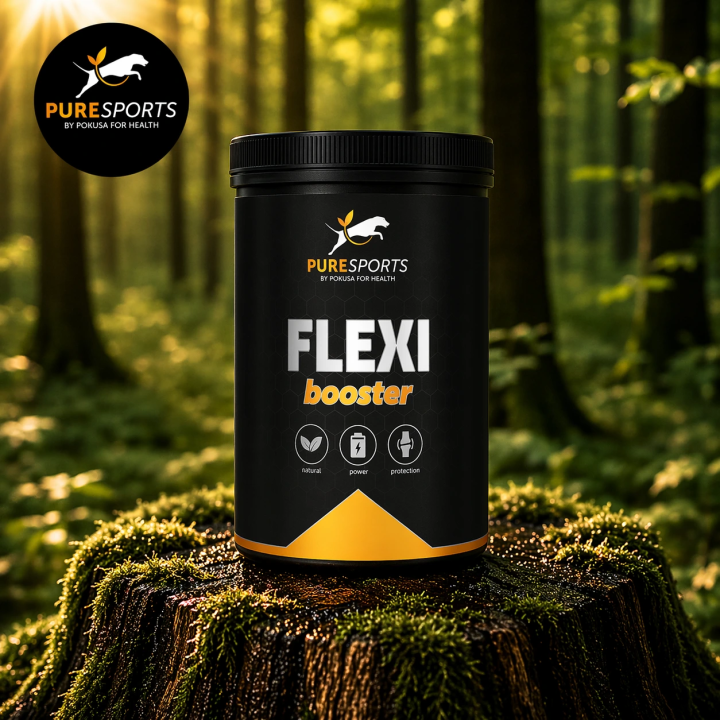 Pokusa Flexi Booster Gelenke & Beweglichkeit Hund | Pokusa