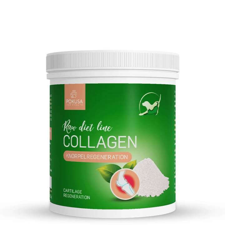 Collagen für Hunde & Katzen – Haut & Gelenke | Pokusa