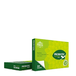 Probiotikum für Hund & Katze – Probiotic Forte | Pokusa