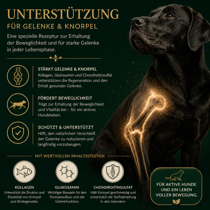 Kaltgepresstes Hundefutter Rind – 52 % Fleisch | Pokusa