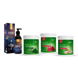 BARF Basis Starter für Hunde & Katzen – 4er-Set | Pokusa