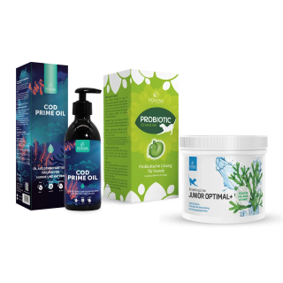 Welpen & Junior Starter – Wachstum und Darmflora | Pokusa