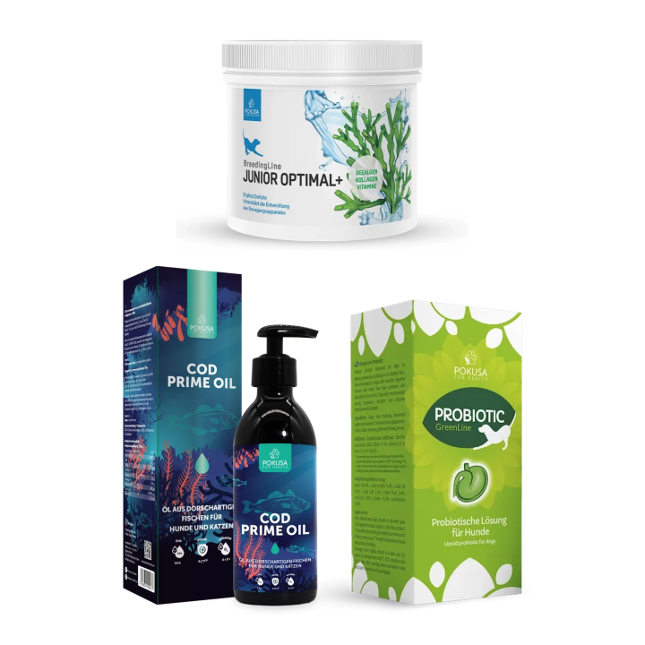 Welpen & Junior Starter – Wachstum und Darmflora | Pokusa