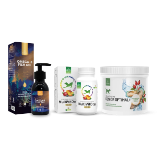 Senior Starter für Hunde – Vitalität & Bewegung | Pokusa