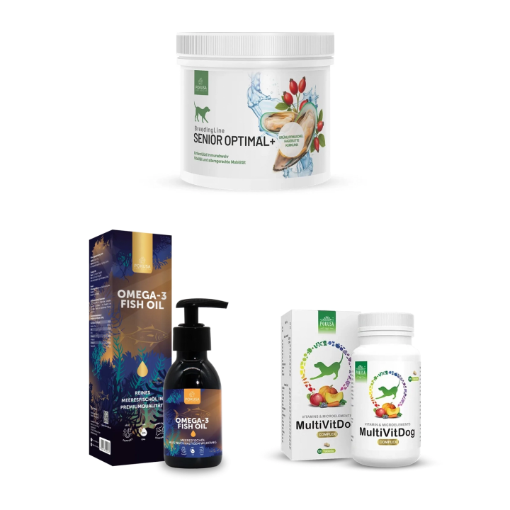 Senior Starter für Hunde – Vitalität & Bewegung | Pokusa